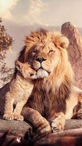 Great prices and selection of pictures lion. 324623 Lion And Cub 4k Phone Hd Wallpapers Images Backgrounds Photos And Pictures Mocah Hd Wallpapers