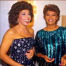 Image result for Disa walleri