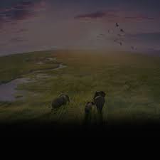 Planet Earth III | BBC Earth