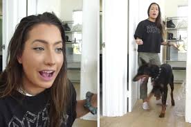 Check spelling or type a new query. Police Investigate Youtuber Brooke Houts Over Dog Prank Video