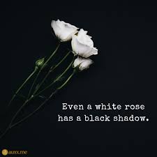 Veneratio stunning black and white landscape image of sycamore gap at hadrian's wall in northumberland at sunset with fantastic late spring light. Even A White Rose Has A Black Shadow Whiterose Shadow Black Shadow Quotes Rose Quotes Quotes White