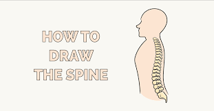 Affordable and search from millions of royalty free images, photos and vectors. How To Draw The Spine Really Easy Drawing Tutorial