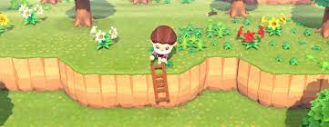 Animal Crossing New Horizons How To Get A Ladder Metabomb