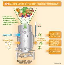 Aktuelle Studien Hefe Macht Fit Und Starkt Die Abwehr Enzym Hefezellen Reduzieren Presseportal