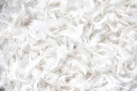 Feathers are the cheaper option; Instead Of Tossing Old Pillows Try These 40 Innovative Uses You Ve Never Thought Of Before Old Pillows Feather Pillows Diy Pillows