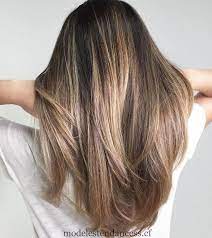 Le balayage pour brune quelle est la meilleure option. Cendre Brun Et Blonde Cheveux Balayage Tendances De La Mode Cheveux Coupe De Cheveux Cheveux Bruns