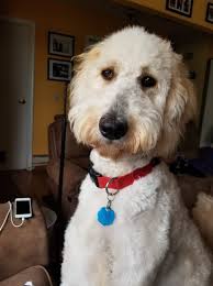 Brocksieker's Photography AKA God's Photography