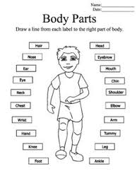 This page feautures a collection of free worksheets covering varied science topics treated in first grade. Grade 1 Human Body Parts Worksheet Summmer Vacation Pinterest Human Body And Worksheets Cute766