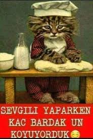 Biri Tarifi Versin Komik Seyler Komik Alintilar Komik