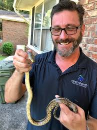 California Kingsnake Sighting in Lakeside for Rodent Control