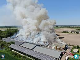Stenenbrug, hagelkruisbaan, bloemerstraat, lage kuilen, karissteeg, herstraat, hoogbosweg, molswingersdwarsdijk. Brand Verwoest Stal Met Varkens In Nederweert Mla Stories