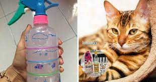 Angkat bulu dengan sapu atau mesin penyedot debu, gunakan spons. Wanita Ni Kongsi Petua Guna 3 Bahan Ni Bantu Elak Kucing Kencing Berak Merata Tempat Di Rumah Keluarga