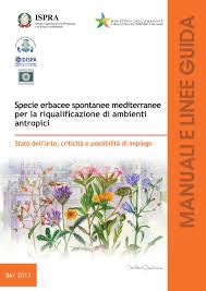 I fiori gialli annunciano la primavera e rendono luminosa la nostra terrazza. Specie Erbacee Spontanee Mediterranee Per La Riqualificazione Di Ambienti Antropici By Tai Solutions Issuu