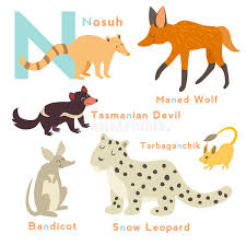 Animals that start with i in english. N Letter Animals Set English Alphabet Vector Illustration Stock Illustration Illustration Of Cute Mammals 67090474