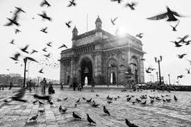2,800+ Vintage Bombay Stock Photos ...