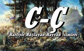 C C Harfiyle Hayvanlar Hangileridir C C Harfiyle Baslayan Hayvan Isimleri Nelerdir C C Harfiyle Hayvan Hayvanlar Egitim