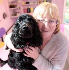She has completely transformed my life": Hearing dog Biscuit sets Beth of  Paddock