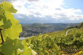 Seilbahn rüdesheim, rüdesheim am rhein. Seilbahn Rudesheim Archive Kinderberge