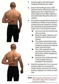 Pin On Exercise