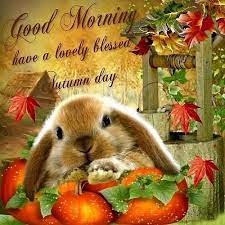 See more ideas about good morning quotes, good morning greetings, good morning good night. Good Morning Have A Lovely Autumn Day Good Morning Quotes Good Morning Greetings Good Morning