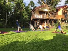 Healthy Lifestyle At Flow Yoga Cnx House Yoga Meditation Chiangmai House Homestay Food Delicious Tasty Foodstagram Foodpic Foodspiration Healthf