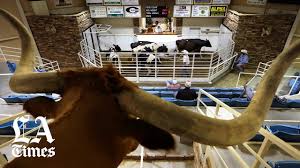 Check spelling or type a new query. How Coronavirus Disrupted California Meat Plants Los Angeles Times