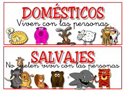Los Animales - Lessons - Tes Teach