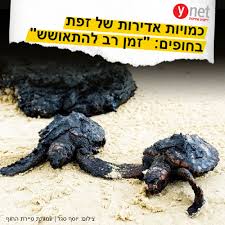 עופר כסיף מתארח בפודקאסט גל חדש, מטעם חדש, בשיחה על אמנות ופוליטיקה, 14 בספטמבר 2020 אסף טלגם, ראיון עם חכ עופר כסיף לאחר תקיפתו בידי שוטרים: Ø§Ù„Ø¹Ø±Ø¨ÙŠØ© 160 ×§ ×ž ×©×œ ×–×¤×ª ×¢×•×¤×¨ ×›×¡×™×£ Ofer Cassif Ø¹ÙˆÙØ± ÙƒØ³ÙŠÙ Facebook