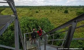 Maybe you would like to learn more about one of these? Malaysiakini Letter North Kuala Langat Forest Reserve Enough Is Enough