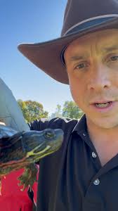 Found a paint turtle and Jesse’s ball