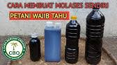 Sejarah em4 sendiri juga awalnya dari luar (bukan dari indonesia), lalu. Cara Mudah Membuat Baja Em 2 How To Make Em 2 Effective Microorganism Youtube