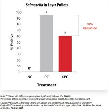 We did not find results for: Pre Harvest Reduction Of Foodborne Pathogens In Food Animals Engormix