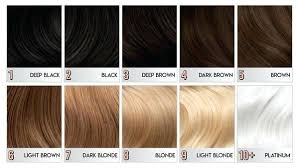 Bleaching Hair Color Level Chart Il Studio Com