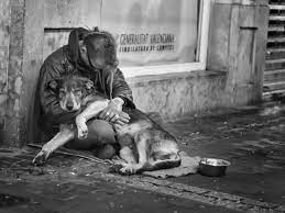 Heartwarming Photographs Of Homeless People With Their Dogs Dogs Animal Photography Homeless