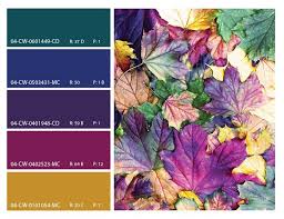 Colorful Leaves Autumn Leaves Color Scheme Colorful Leaves Mood Board Jewel Tone Color Palette Autumn Leaf Color Color Schemes