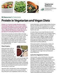 Protein In Vegetarian And Vegan Diets
