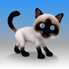 3d Cat Cartoon Rigged Cat Cartoon Images Cute Cartoon Drawings Cartoon Cat