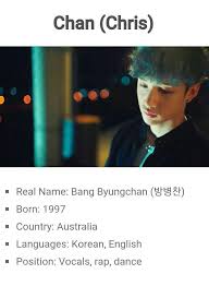 Chan Straykids Kpop New Stray Kids Chan Kid Memes Kids