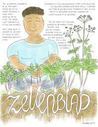 Gedronken of gegeten heeft het een. Wat Moet Ik Met Zevenblad In De Tuin