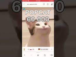 Check spelling or type a new query. Popcat Click Pop Cat Know Your Meme