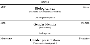 Definition of intersex in the definitions.net dictionary. Racgp Gender Dysphoria