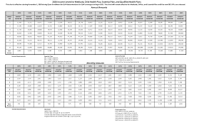100%* 138%* whole family eligible for medicaid up to 138% fpl 147%* children (18 and under) eligible for medicaid. Https Info Nystateofhealth Ny Gov Sites Default Files 2020 20fpls 20during 202020 2021 Oe Pdf