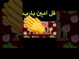 شركة نقل عفش بالمدينة المنورة 0553386287 وتنظيف خزنات وتنظيف شقق ومنازل ومكافحة جميع انواع الحشرات وتنظيف كنب وسجاد ونقل عفش في جميع أنحاء المملكة وعمل سبك وكه