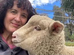 Lamb Care Australia Annual Report 2022