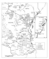 Image result for Premna tanganyikensis