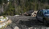 Legea gărzilor forestiere a fost aprobată de camera deputaților, forul decizional, urmând ca o nouă structură, garda forestieră națională, să coordoneze activitatea celor 9 gărzi forestiere teritoriale. Garda Forestiera Suceava Suceava News Online