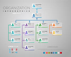 Elegant Organization Chart Vector Premium Download