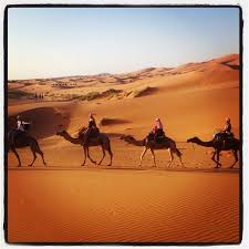 Read more about how to get on a camel here. Morocco Sahara Tours Marrakech To Fes Camel Trekking Desert Trip Erasmus Scholarships