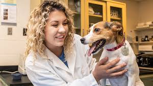 Places fort wayne, indiana pet serviceveterinarian fort wayne pet hospital. Preveterinary Purdue Fort Wayne