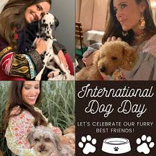 We're all dog lovers and we really want to give our furry friends the best we can. International Dog Day Sandra S Closet